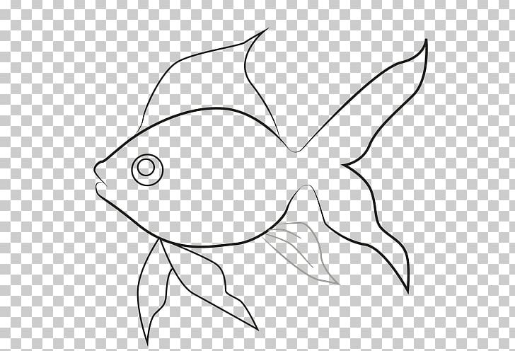 Drawing Line Art USMLE Step 3 Goldfish PNG, Clipart, Animal, Artwork, Beak, Black And White, Cartoon Free PNG Download