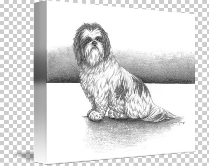 Little Lion Dog Shih Tzu Havanese Dog Lhasa Apso Puppy PNG, Clipart, Animals, Artwork, Black And White, Breed, Breed Group Dog Free PNG Download