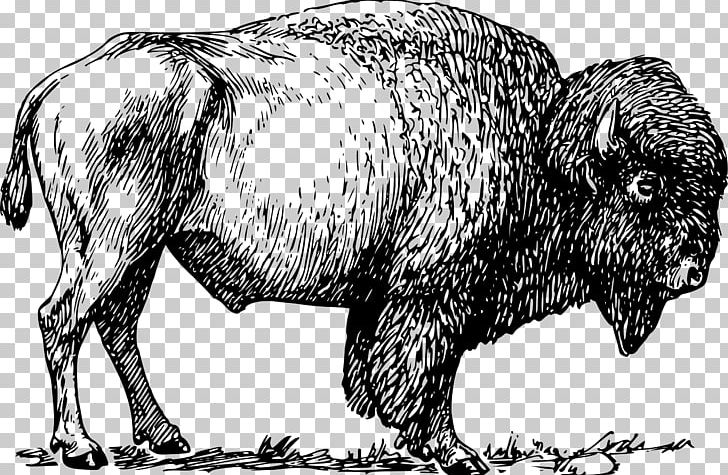 American Bison PNG, Clipart, American Bison, Animals, Bison, Black And White, Bull Free PNG Download