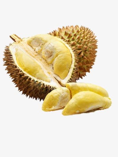 Durian PNG, Clipart, Durian, Durian Clipart, Fruit, Yellow Free PNG Download