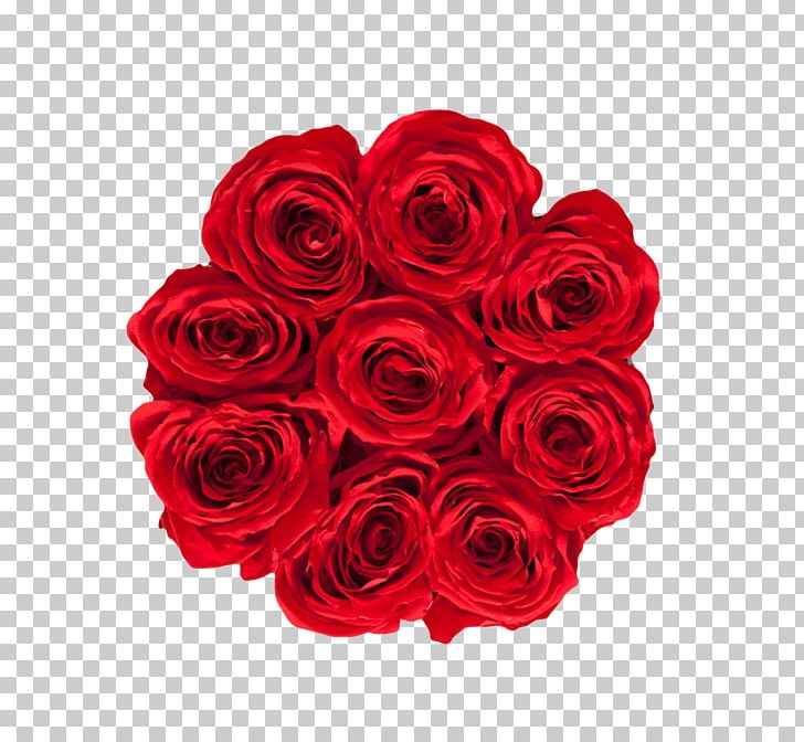 Garden Roses RE/MAX Karun Gayrimenkul Danışmanlığı RE/MAX INTEGRA Ontario-Atlantic Inc. RE/MAX PNG, Clipart, Cut Flowers, Floral Design, Floristry, Flower, Flower Arranging Free PNG Download