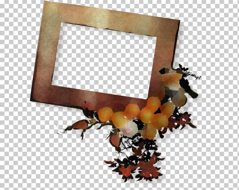 Picture Frame PNG, Clipart, Insect, Picture Frame Free PNG Download