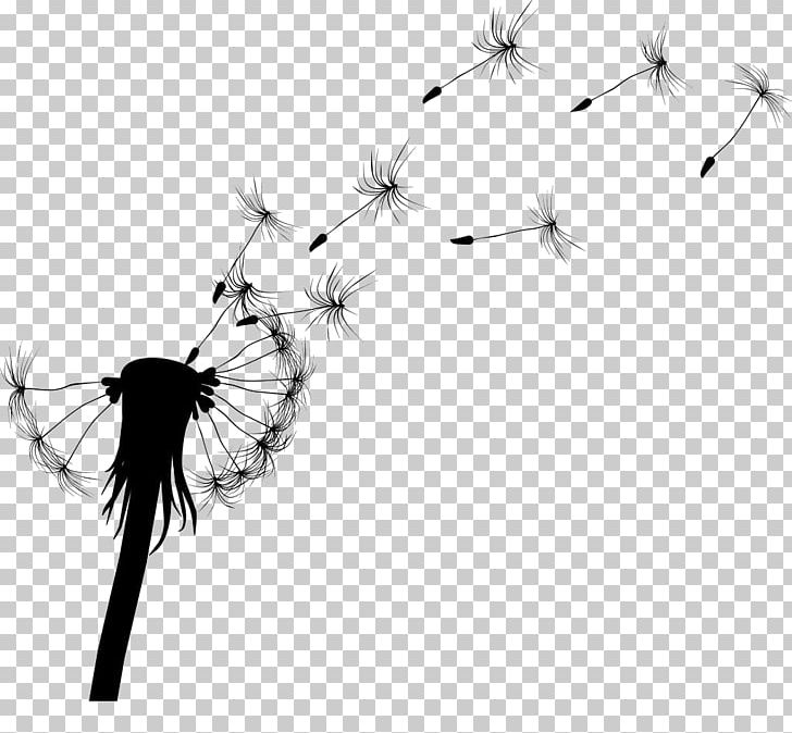 Common Dandelion Silhouette Plant PNG, Clipart, Angle, Black Hair, Black White, Computer Wallpaper, Design Free PNG Download