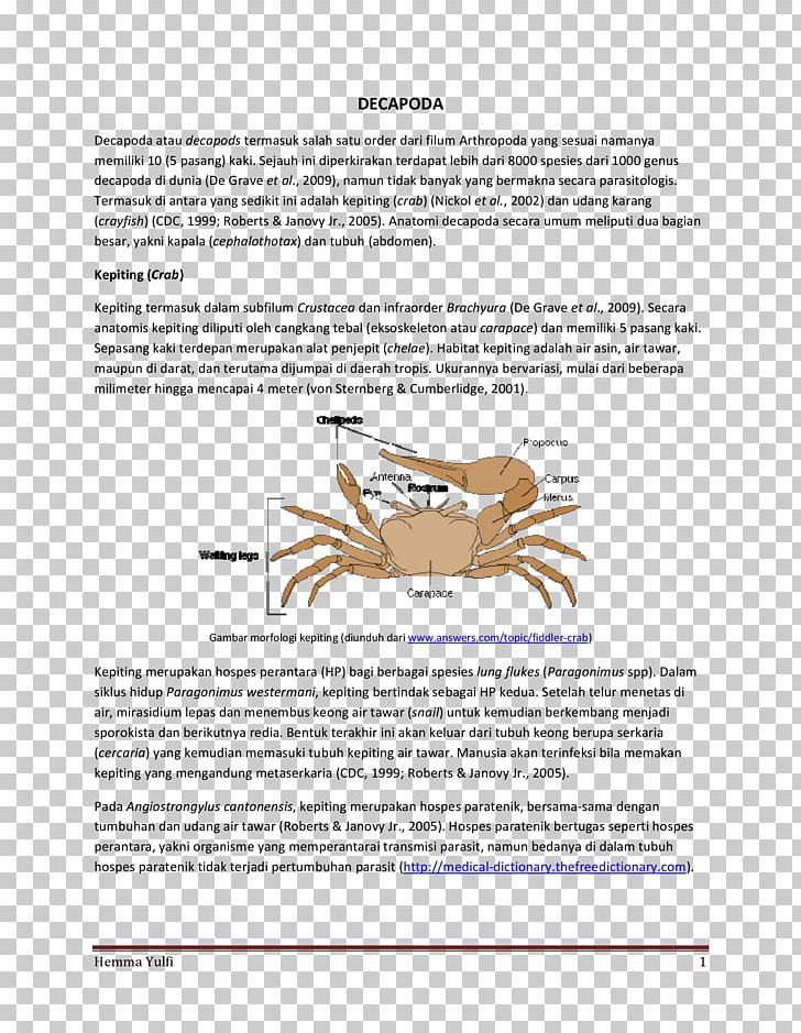 Fiddler Crab Animal PNG, Clipart, Animal, Animals, Aranea, Area, Brochure Free PNG Download