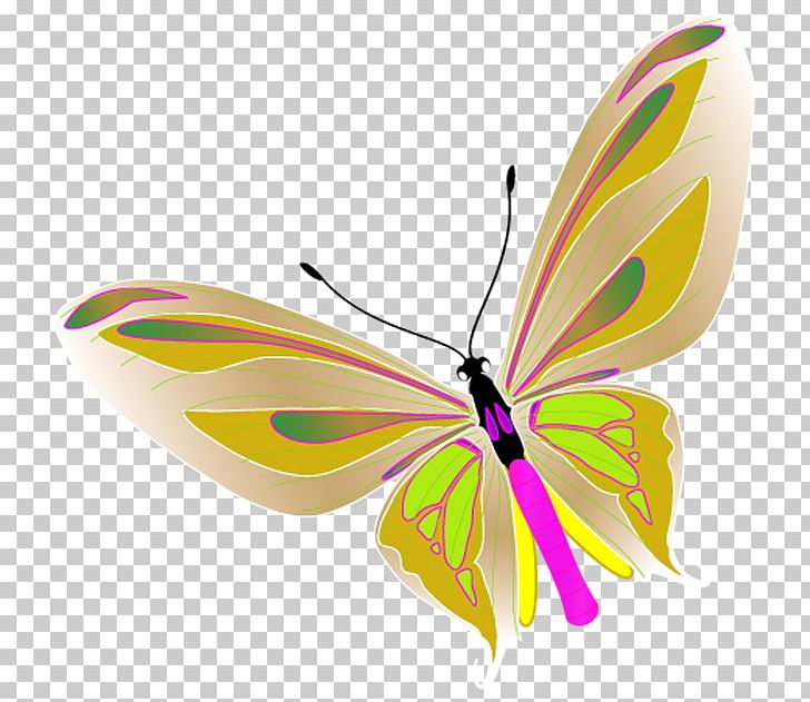 Nymphalidae Butterfly Pieridae PNG, Clipart, Arthropod, Brush Footed Butterfly, Insects, Nymphalidae, Pieridae Free PNG Download