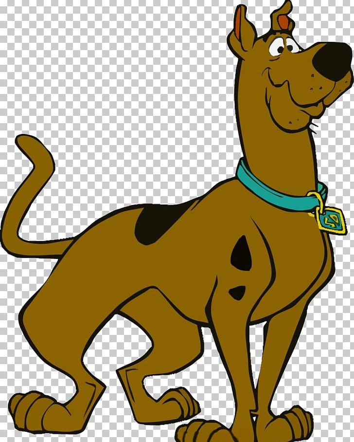 Scooby Doo Scrappy-Doo Shaggy Rogers Scooby-Doo PNG, Clipart, Animals,  Blind Guide Dog, Carnivoran, Cartoon,