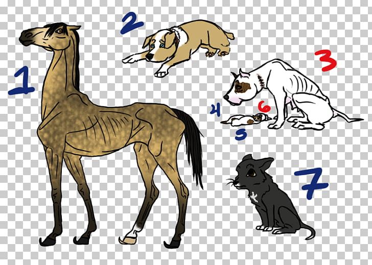 Whippet Horse Cat PNG, Clipart, Animal, Animal Figure, Animals, Artwork, Carnivoran Free PNG Download