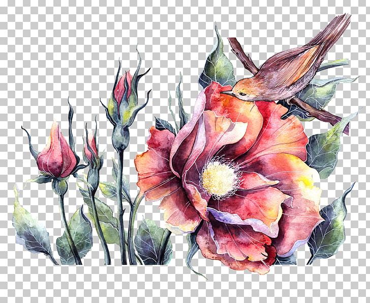 Bird Watercolor Painting Floral Design Illustration PNG, Clipart, Adobe Illustrator, Art, Bird Cage, Birds, Cut Flowers Free PNG Download