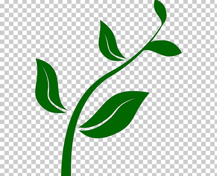 From Seed To Plant PNG, Clipart, Area, Branch, Clip Art, Flora, Flower Free PNG Download