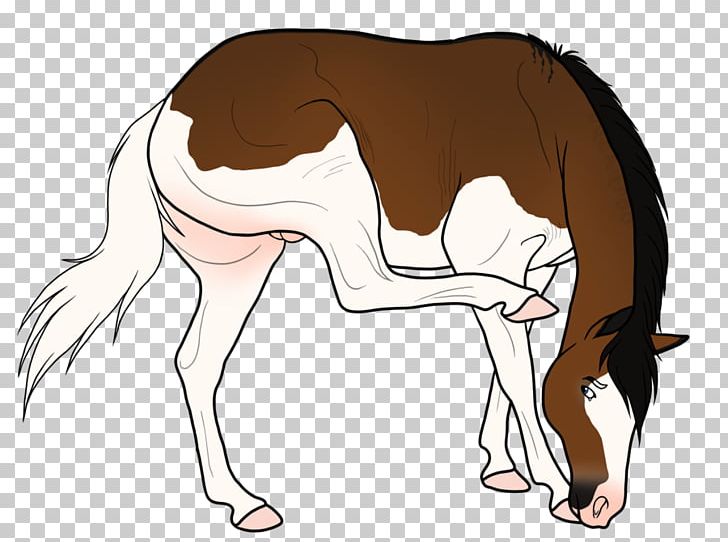 Pony Foal Mustang Colt Stallion PNG, Clipart, Bridle, Character, Colt, Fictional Character, Foal Free PNG Download