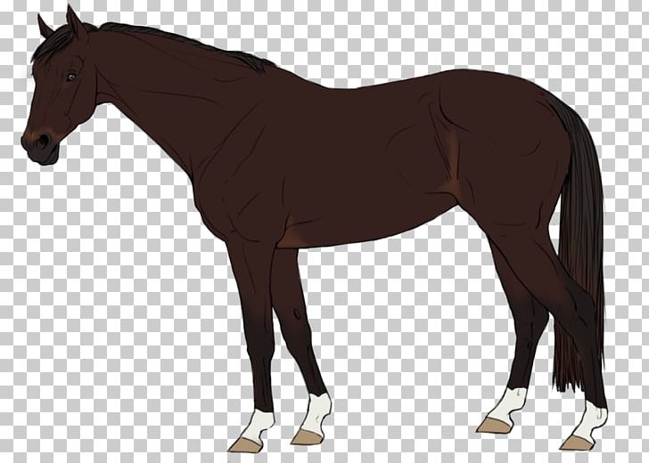 Stallion Foal Mare Mustang Colt PNG, Clipart, Animal, Bridle, Colt, Foal, Halter Free PNG Download
