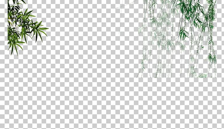 Bamboo Salix Pierotii Green PNG, Clipart, Background Green, Bamboe, Bamboo Leaves, Bamboo Vector, Branch Free PNG Download