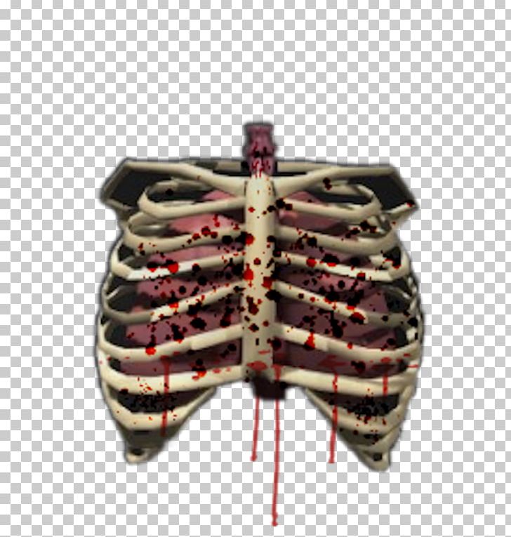 Human Skeleton Bone Rib Cage Human Body PNG, Clipart, Body, Body Human, Bone, Cervical Vertebrae, Dog Shit And Human Shit Is Xxx Free PNG Download