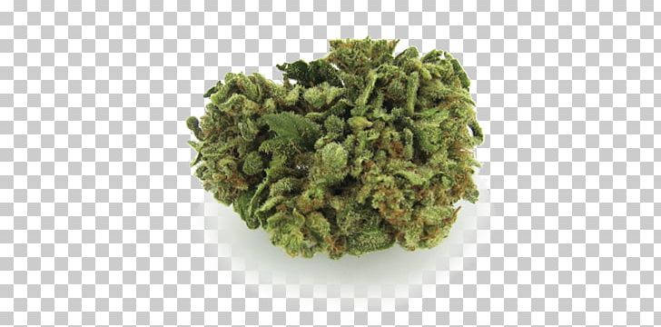 Medical Cannabis Hash Oil Sour Diesel Marijuana PNG, Clipart, Blue Dream, Bong, Cannabis, Cannabis Sativa, Cannabis Shop Free PNG Download