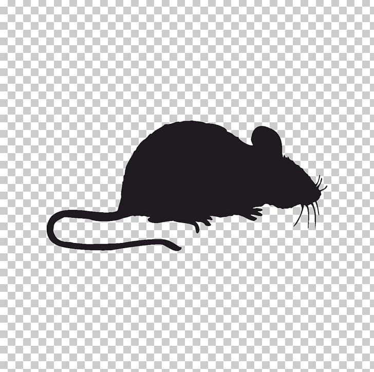 Pest Control Window Mouse Sticker PNG, Clipart, Black And White, Black Rat, Building, Decal, Fauna Free PNG Download