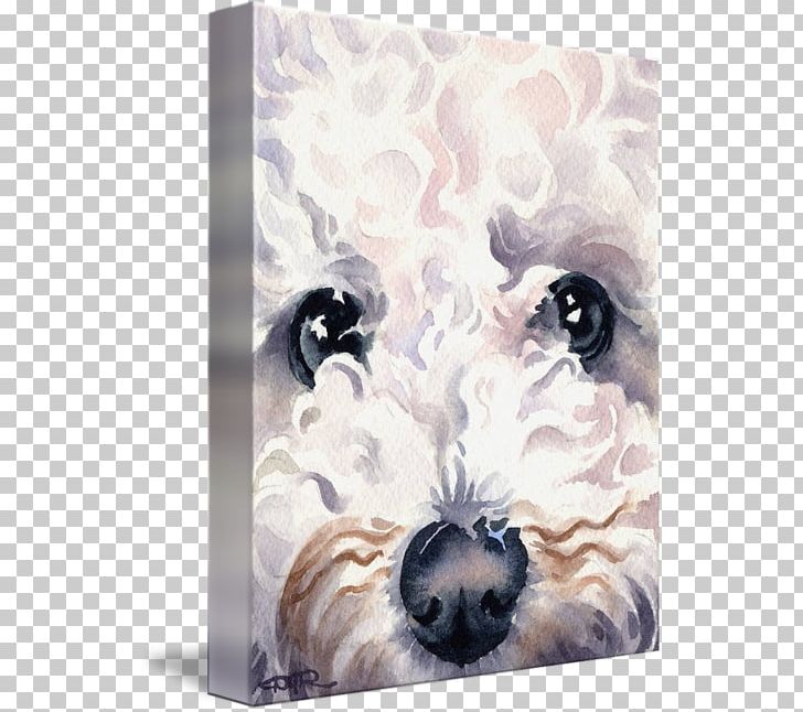 Shih Tzu Bichon Frise Puppy Dog Breed Painting PNG, Clipart, Art, Artist, Bichon, Bichon Frise, Canvas Free PNG Download