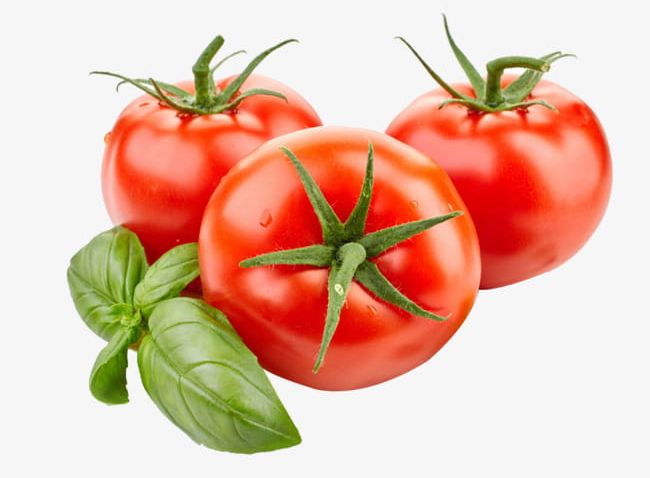 Tomatoes Tomato PNG, Clipart, Agriculture, Cooking, Dieting, Food, Food And Drink Free PNG Download