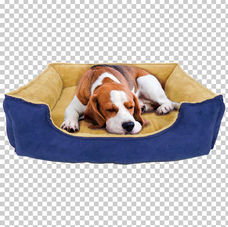 Dog Breed Puppy Dog Collar Pillow PNG, Clipart, Bed, Breed, Collar, Dog, Dog Bed Free PNG Download
