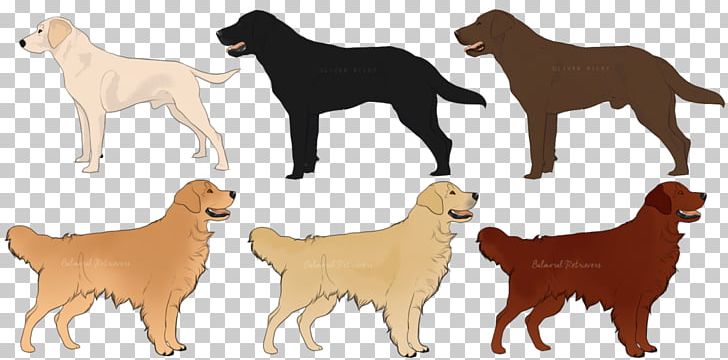 Nova Scotia Duck Tolling Retriever Golden Retriever Dog Breed Companion Dog PNG, Clipart, Animal, Animal Figure, Animals, Breed, Carnivoran Free PNG Download