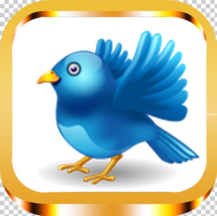 Bird Computer Icons PNG, Clipart, Animals, Arcade, Beak, Bird, Bird Nest Free PNG Download