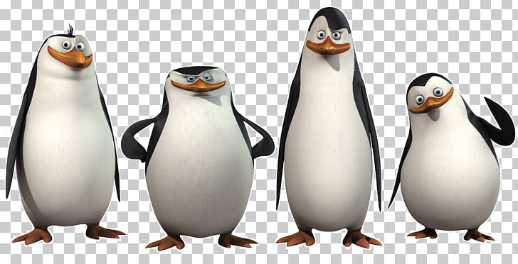Kowalski Penguin Skipper Madagascar Film PNG, Clipart, Animals, Animation, Beak, Bird, Computer Animation Free PNG Download