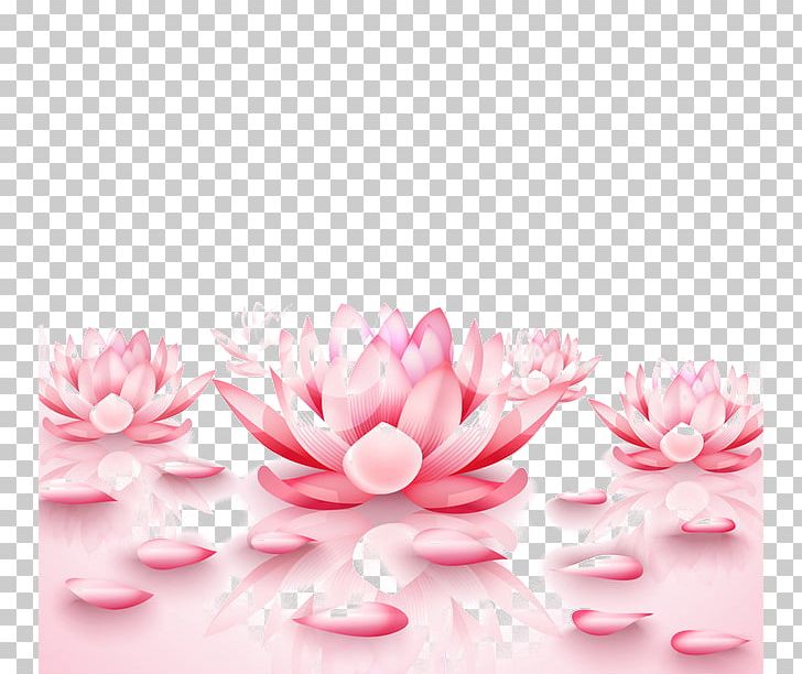 Nelumbo Nucifera Pixel PNG, Clipart, 4k Resolution, Blossom, Cosmetics, Cosmetics Elements, Display Resolution Free PNG Download