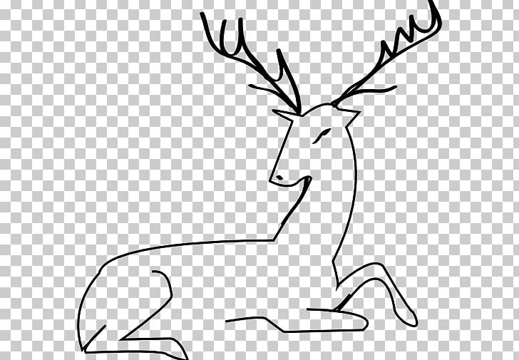 Red Deer White-tailed Deer Reindeer Moose PNG, Clipart, Animals, Antler, Black And White, Coloring Book, Deer Free PNG Download