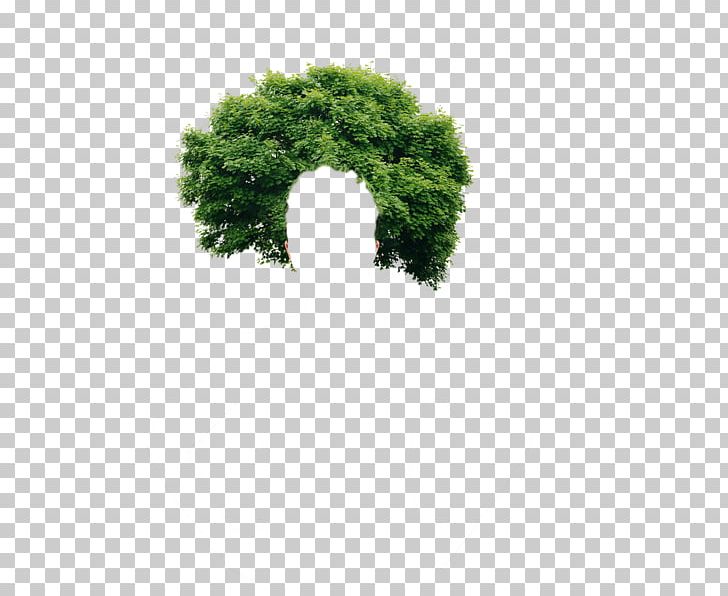 Tree Low Poly 3D Computer Graphics Energy Conservation PNG, Clipart, 3d Computer Graphics, 3d Rendering, 3d Warehouse, Cgtrader, Energy Conservation Free PNG Download
