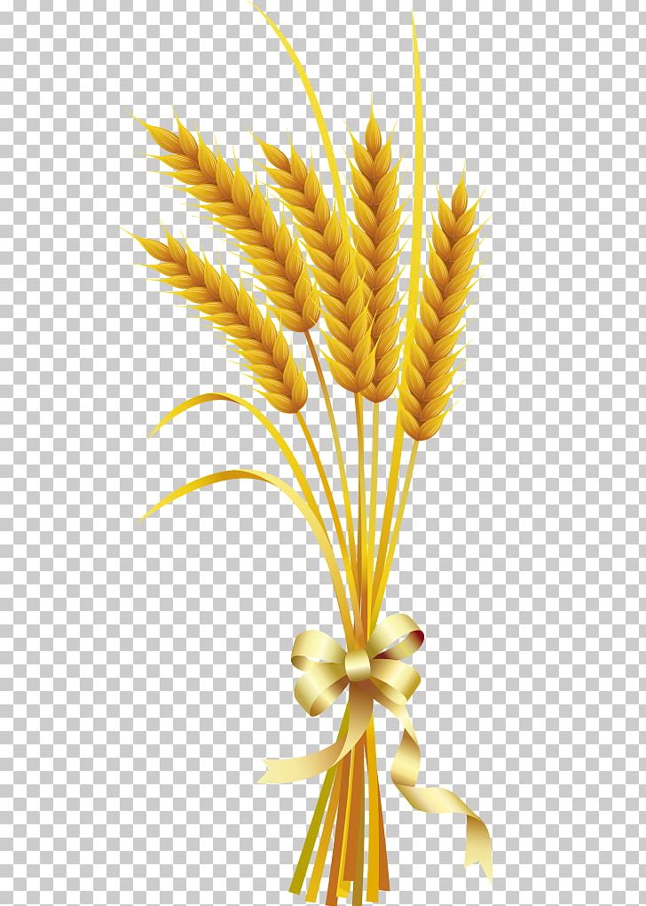 Wheat Ear PNG, Clipart, Aartje, Advertising, Cereal, Clip Art, Commodity Free PNG Download