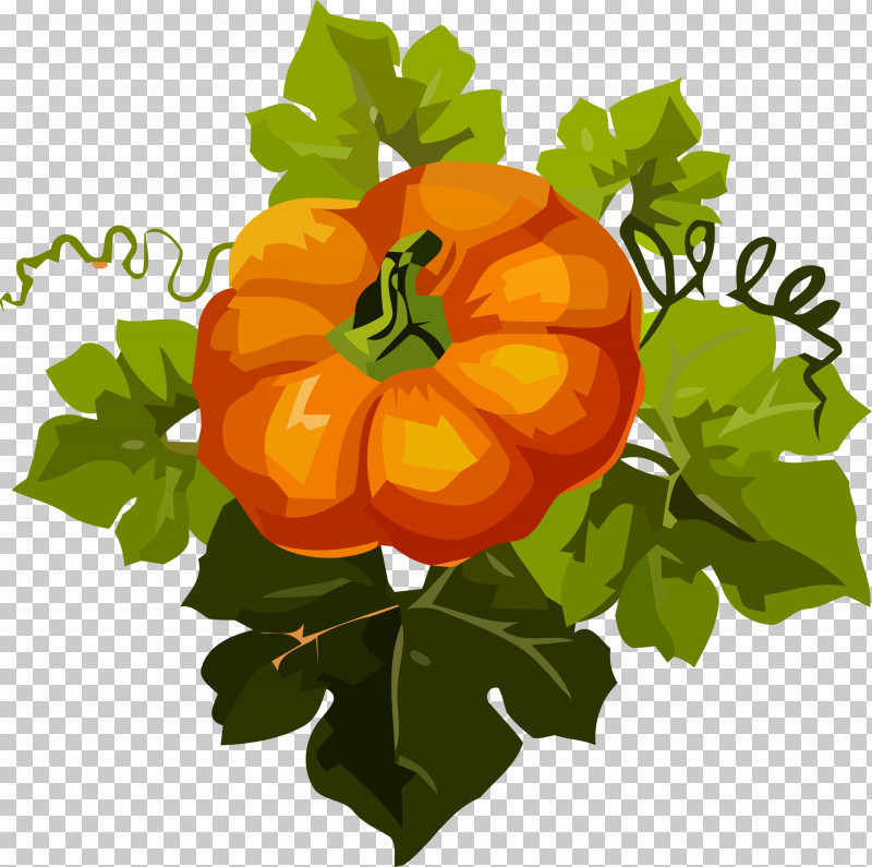 Pumpkin Thanksgiving Autumn PNG, Clipart, Autumn, Flower, Fruit, Leaf, Nasturtium Free PNG Download
