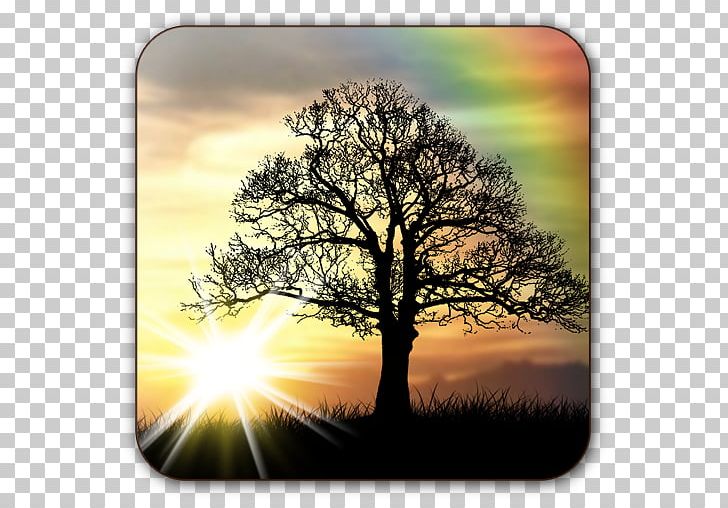 Sunrise Desktop Mobile Phones Android PNG, Clipart, 5 Plus, Android, Android Version History, Background Sunset, Computer Wallpaper Free PNG Download