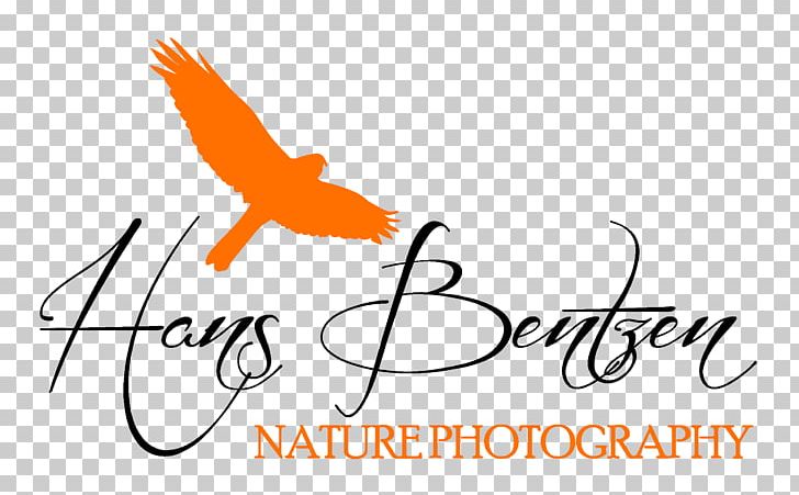 Wildlife Photography Nature Photography Photographer Logo PNG, Clipart, Area, Art, Artwork, Beak, Bird Free PNG Download
