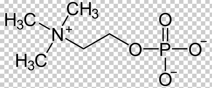 Molecule Choline Betaine Trimethylglycine Amino Acid PNG, Clipart, Acid, Amino Acid, Angle, Area, Betaine Free PNG Download