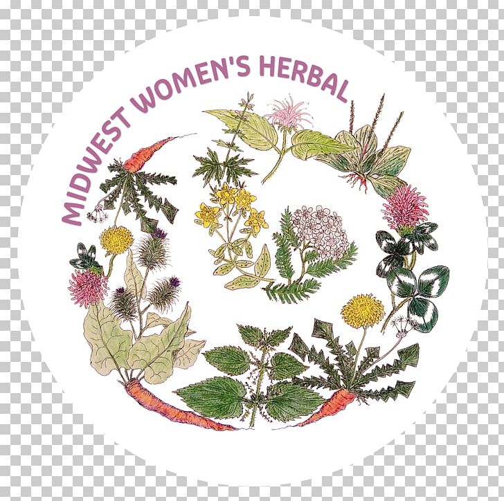 A Woman's Herbal Herbcraft Herbalism Food PNG, Clipart,  Free PNG Download