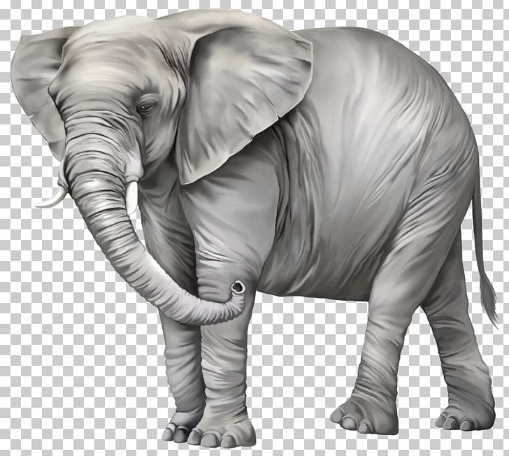 Elephant PNG, Clipart, African Elephant, Animals, Black And White, Clip Art, Diagram Free PNG Download