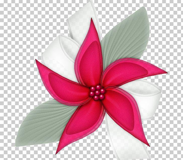 Second World Cut Flowers PNG, Clipart, Cut Flowers, First World, Flower, Fourth World, Galaxy Free PNG Download