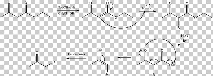 Malonic Ester Synthesis Acetoacetic Ester Synthesis Diethyl Malonate Chemical Reaction PNG, Clipart, Acetoacetic Acid, Acid, Angle, Chemical Reaction, Ester Free PNG Download