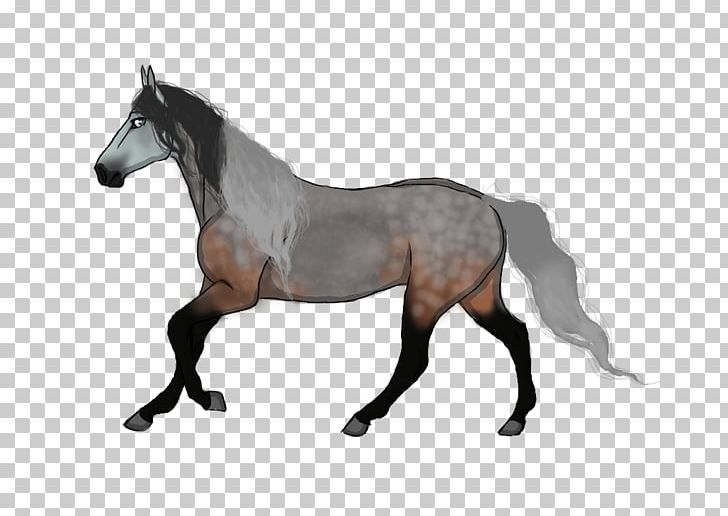 Mustang Stallion Mare Colt Foal PNG, Clipart, Animal Figure, Bridle, Colt, Dog Harness, Fiona Fox Free PNG Download