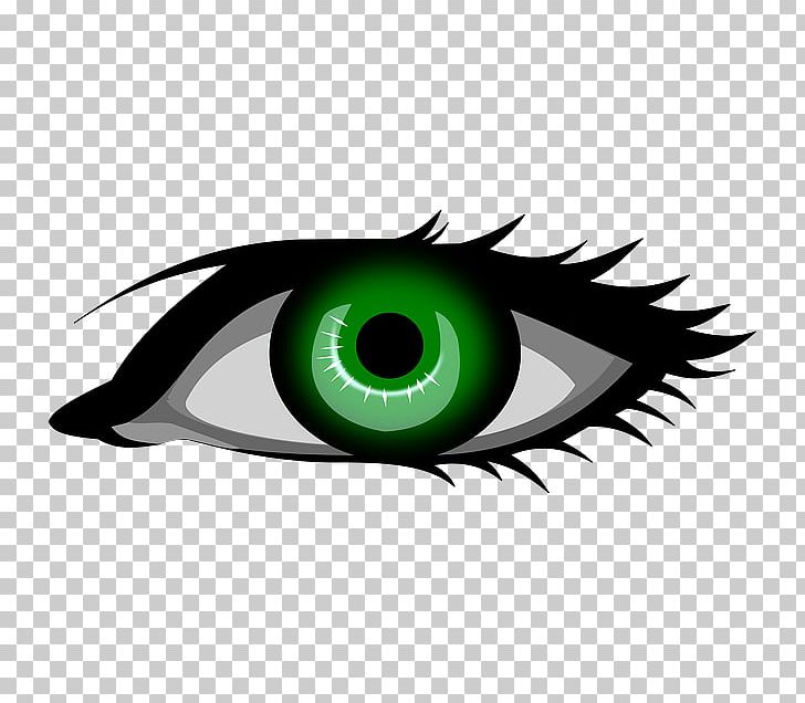 Eye Color Green PNG, Clipart, Blue, Clip Art, Closeup, Color, Computer Wallpaper Free PNG Download