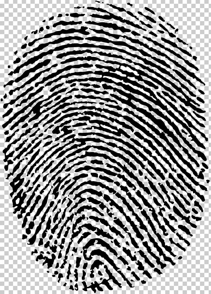 Fingerprint Dactiloscopie Digit Dermatoglyphics Fingerabdruckscanner PNG, Clipart, Area, Black, Black And White, Circle, Dactiloscopie Free PNG Download