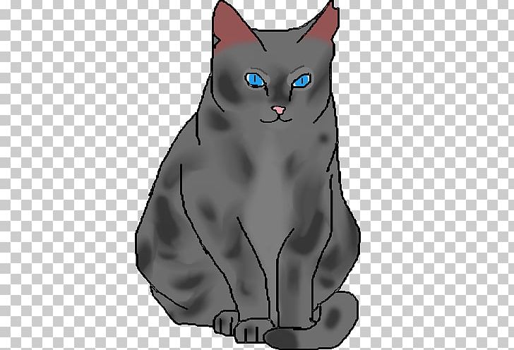 Whiskers Korat Kitten Domestic Short-haired Cat Black Cat PNG, Clipart, Animals, Black Cat, Canidae, Carnivoran, Cartoon Free PNG Download