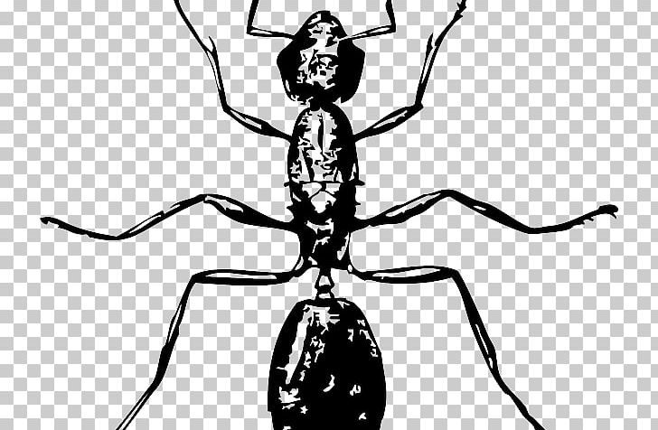 Ant Drawing Insect PNG, Clipart, Animals, Ant, Arthropod, Artwork, Black And White Free PNG Download