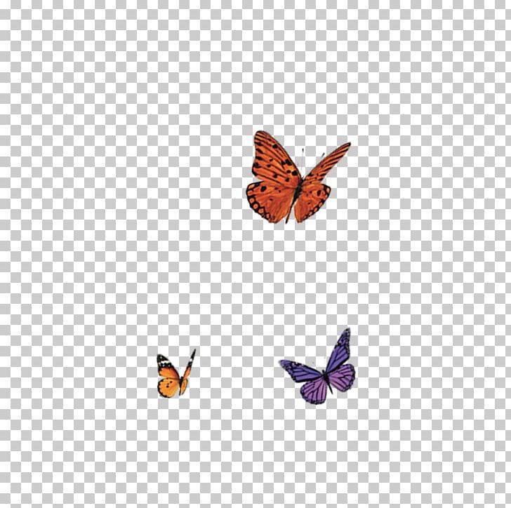 Butterfly Nymphalidae PNG, Clipart, 1000000, Arthropod, Blue Butterfly, Brush Footed Butterfly, Butterflies Free PNG Download