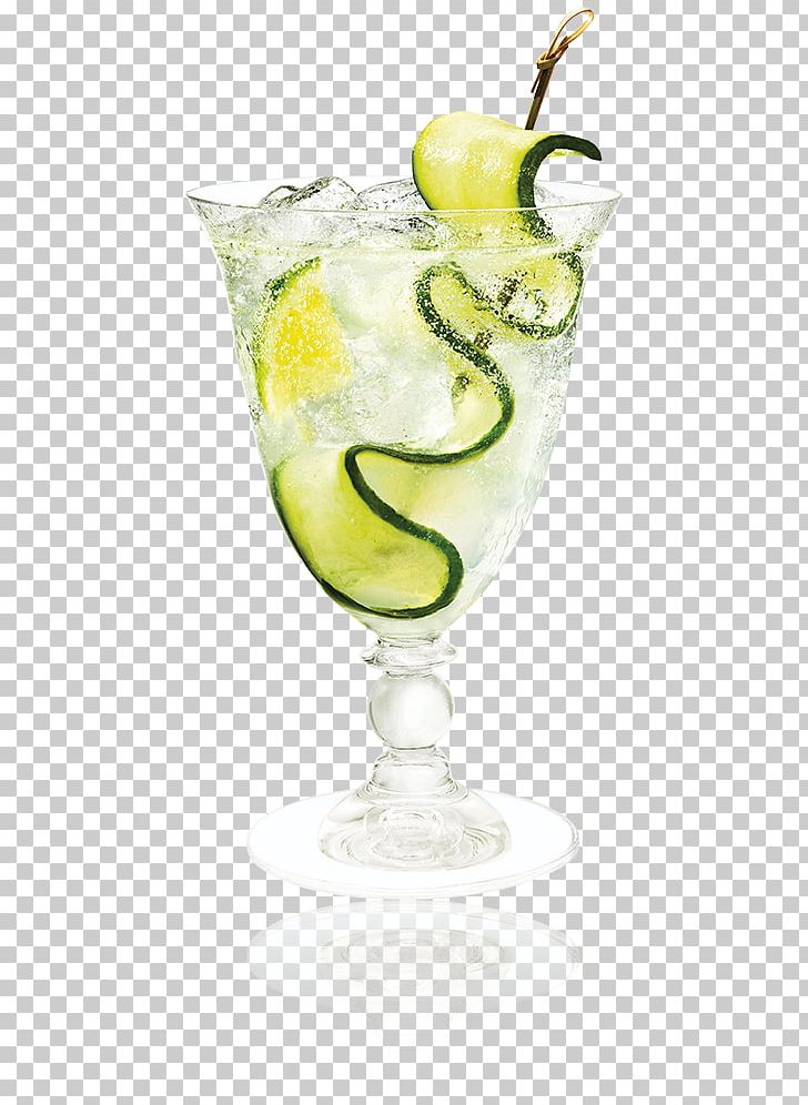 Cointreau Cocktail Liqueur Fizz Triple Sec PNG, Clipart, Caipiroska, Carbonated Water, Cocktail, Cocktail Garnish, Cocktail Shaker Free PNG Download