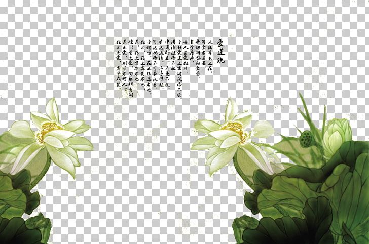 Green Nelumbo Nucifera U611bu84eeu8aaa Mural PNG, Clipart, Art, Background, Chinese, Chinese Style, Chinoiserie Free PNG Download
