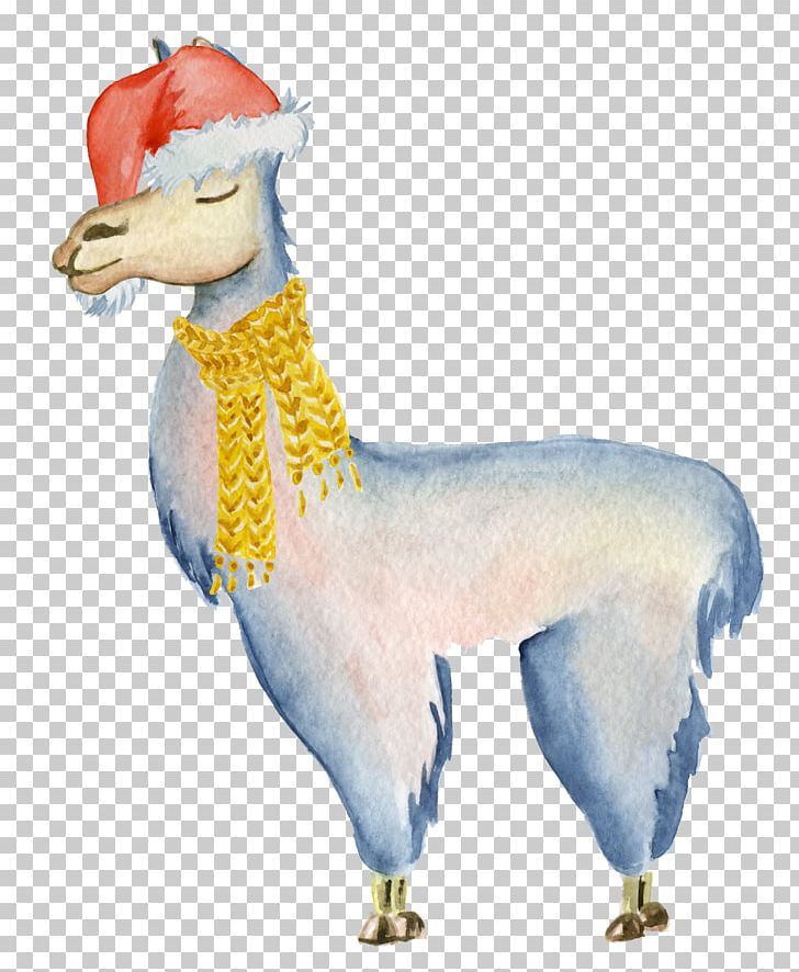 Llama Alpaca Drawing PNG, Clipart, Alpaca, Animal, Animal Figure, Camel Like Mammal, Cartoon Free PNG Download