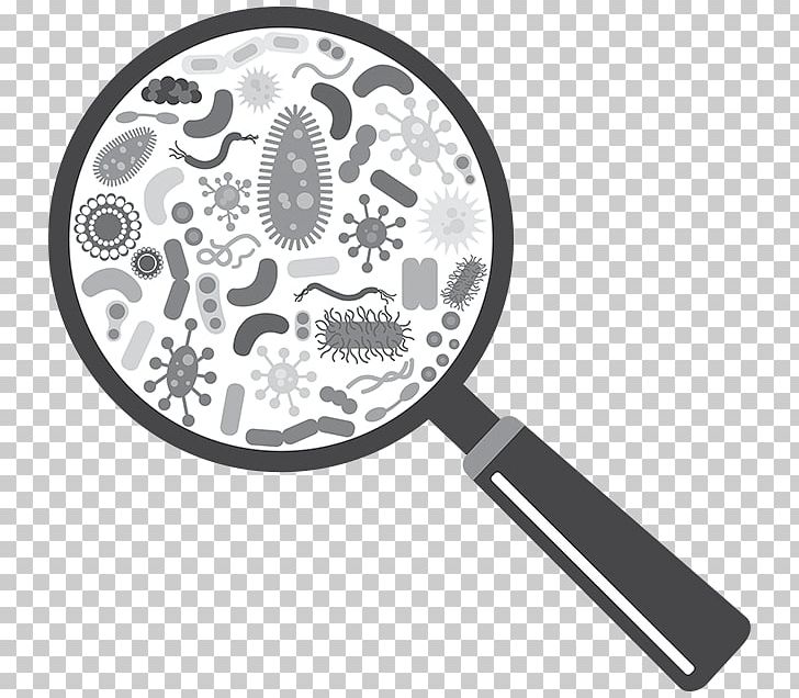 Microorganism Bacteria Virus Infection PNG, Clipart, Bacteria, Biology, Black And White, Cell, Germ Theory Of Disease Free PNG Download