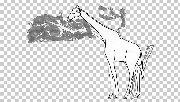 Giraffe Finger Sketch Human Leg Illustration PNG, Clipart, Animals, Arm, Art, Artwork, Branch Free PNG Download