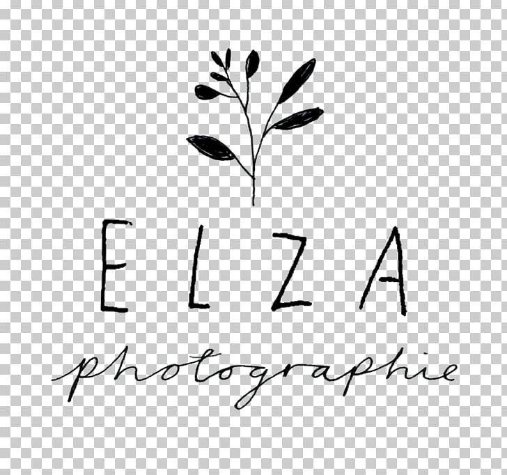 High Park Lifestyle Photography Photographer Elza Photographie PNG, Clipart, Angle, Area, Black, Black, Branch Free PNG Download