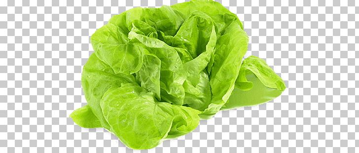 Leaf Lettuce Vegetable Iceberg Lettuce Variety Food PNG, Clipart, Brussels Sprout, Calorie, Catarina, Chard, Cruciferous Vegetables Free PNG Download